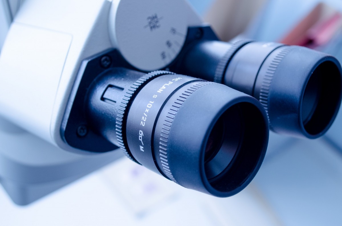 Catalysis investigación y desarrollo